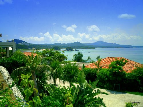 A New Official Toastmasters Club in Okinawa