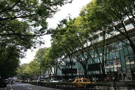 Omotesando Bilingual Toastmasters Club chartered!