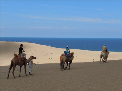 Tottori Toastmastes club chartered!